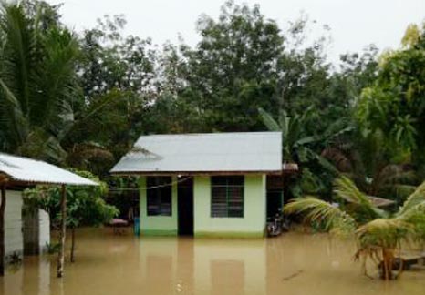 Intesitas Hujan Tinggi,Rumah dan Sawah Warga Pelalawan Terendam